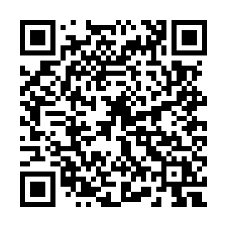 QR code for 272MUX