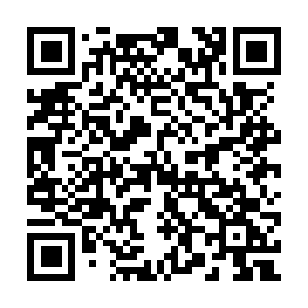 QR code for 281OVG