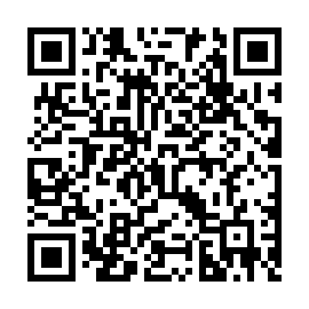 QR code for 2873PG