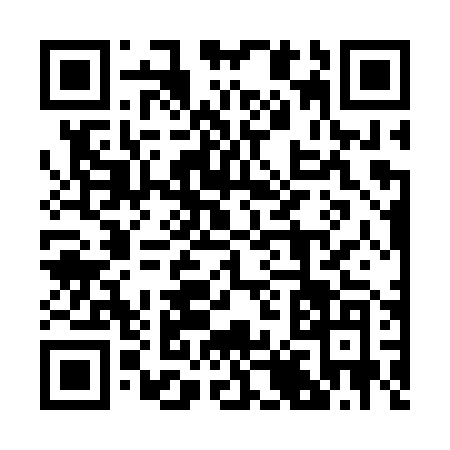 QR code for 2873PMT