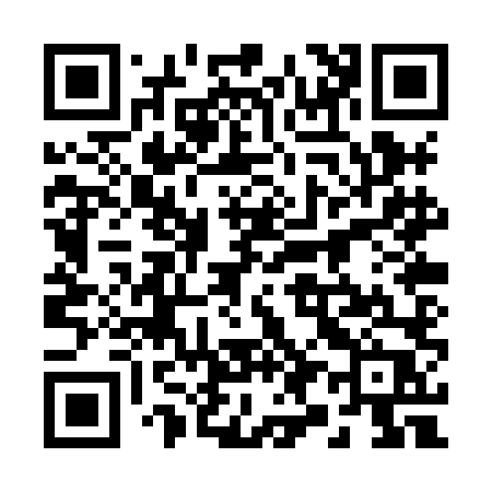 QR code for 290XLP