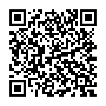 QR code for 290ZXT