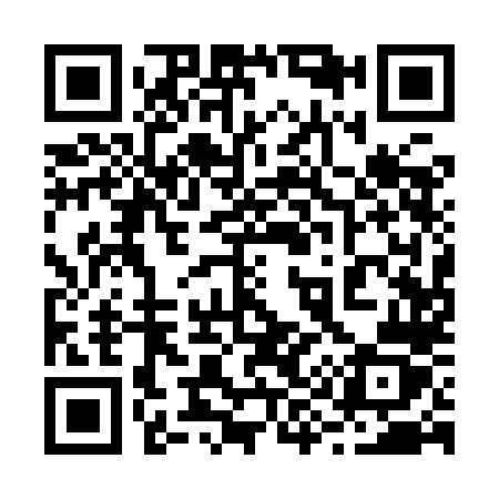 QR code for 2919LZ