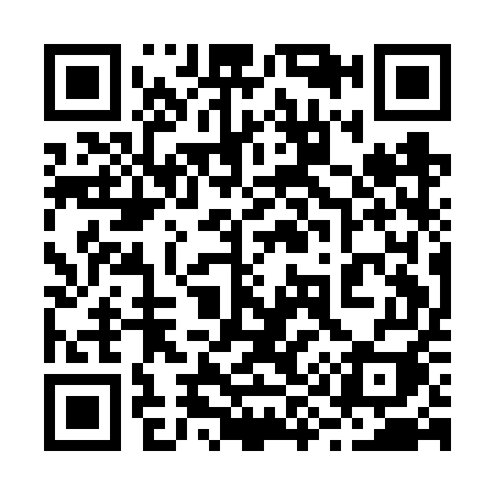 QR code for 291FUI