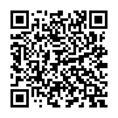 QR code for 291YJB
