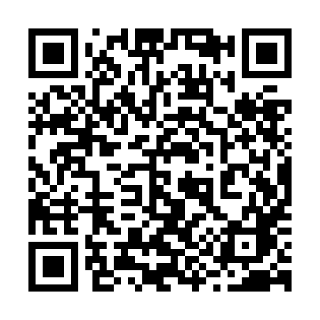 QR code for 291ZHC