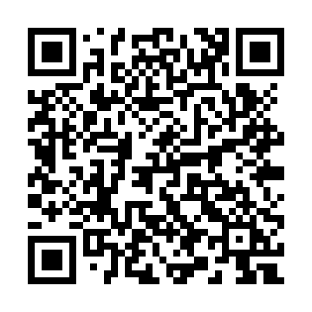 QR code for 291ZPI