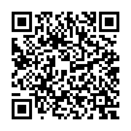 QR code for 2924DMX