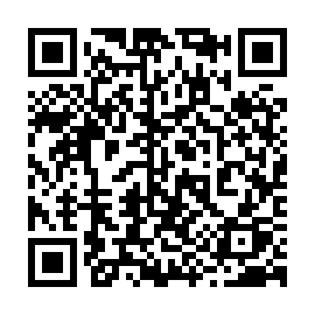 QR code for 2938SP