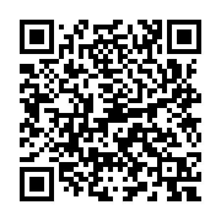 QR code for 2939SP