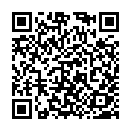 QR code for 2939XX