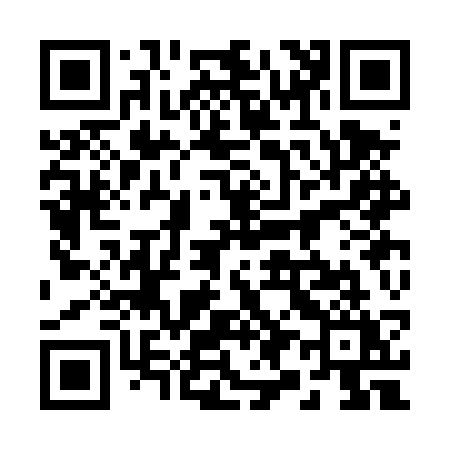 QR code for 293DSY