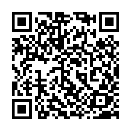 QR code for 293PYZ
