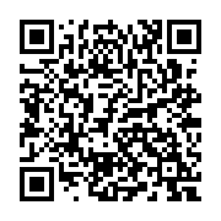QR code for 293QAM