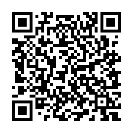 QR code for 2941OI