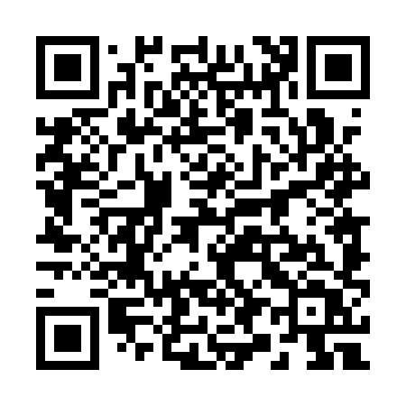 QR code for 2941XT