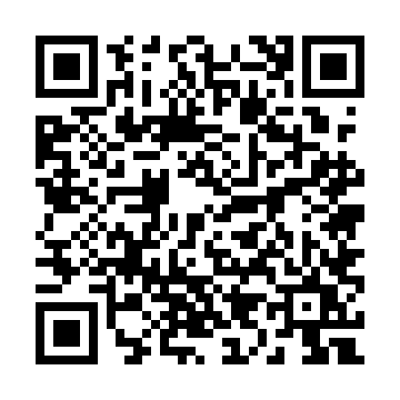 QR code for 2951LUS