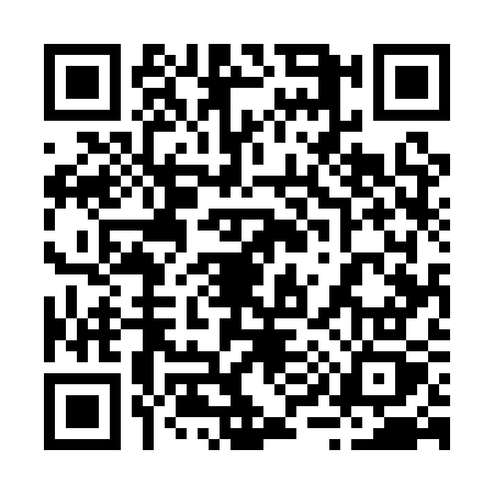 QR code for 2951SZH