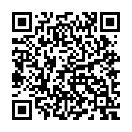 QR code for 2952IN