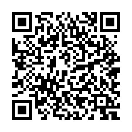 QR code for 2952XAM