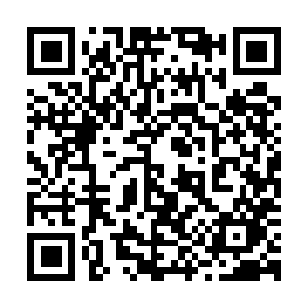QR code for 2955HO
