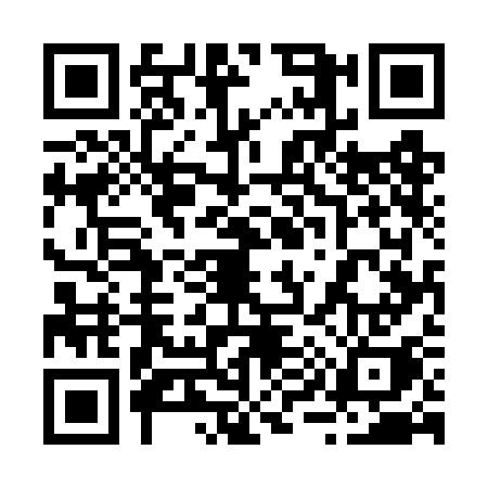 QR code for 2957CHI