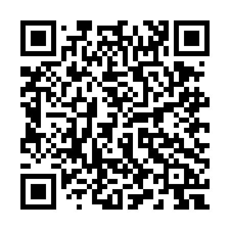 QR code for 295DDB