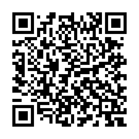 QR code for 295DHR