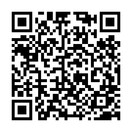 QR code for 295DLP