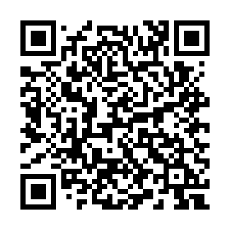 QR code for 295GUE