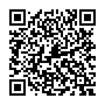 QR code for 295HSI