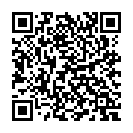 QR code for 295KBL