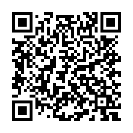 QR code for 295NUU