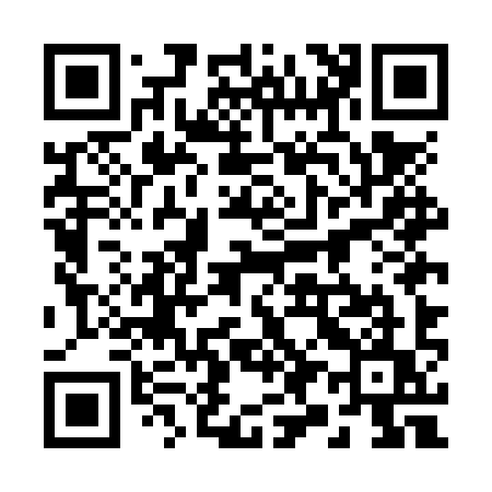 QR code for 295NYU