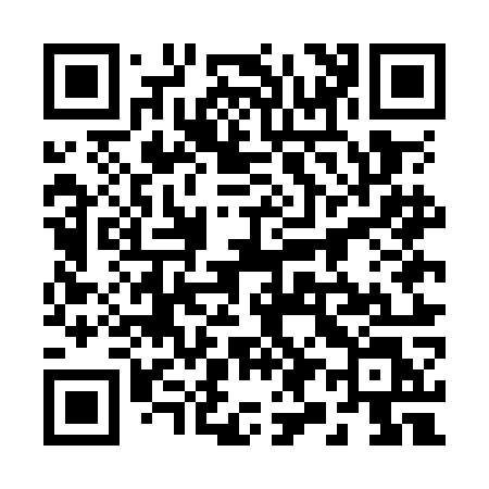 QR code for 295OOL