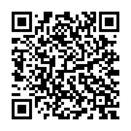 QR code for 295PDV