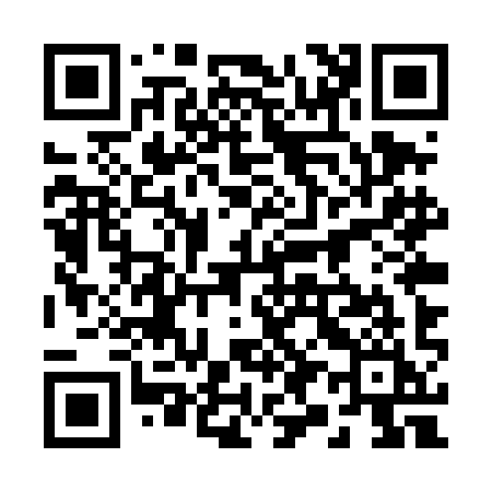 QR code for 295TII