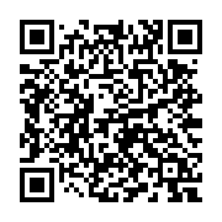 QR code for 295TRT