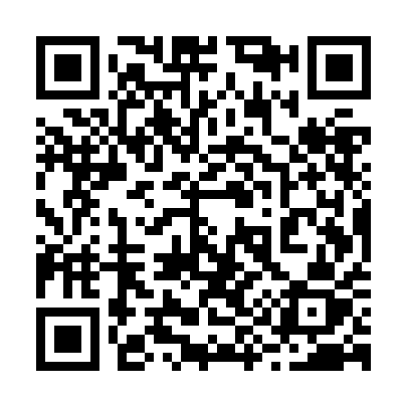 QR code for 295ZAZ