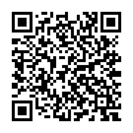 QR code for 295ZEZ