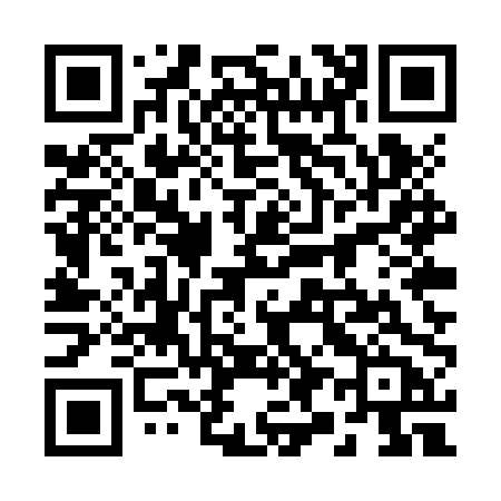 QR code for 295ZPB