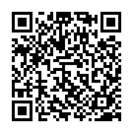 QR code for 2965QL