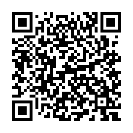 QR code for 2971HO