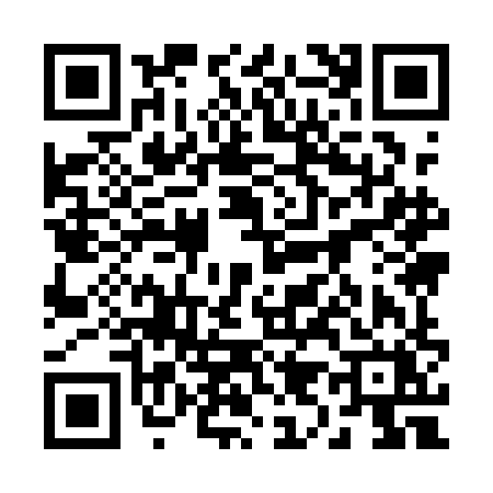 QR code for 2991HXF