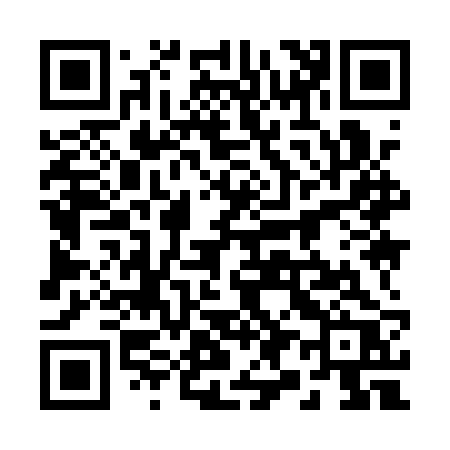 QR code for 2991RR