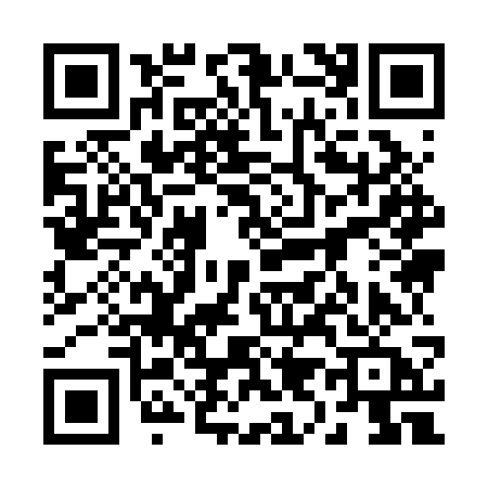 QR code for 2992WAN