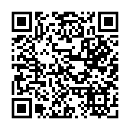 QR code for 2993HO