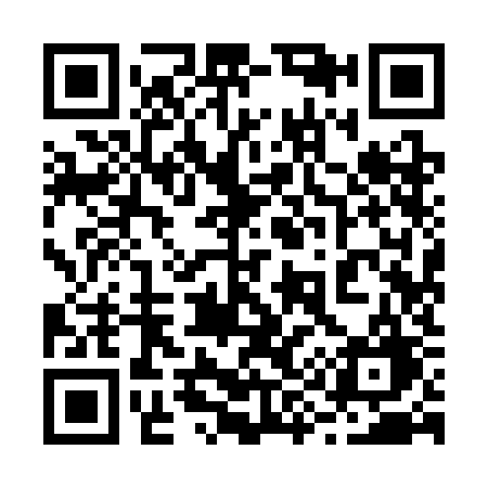 QR code for 2993KG
