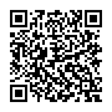 QR code for 2995CZ