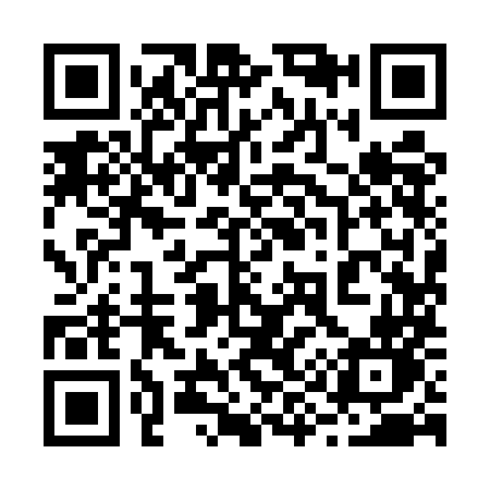 QR code for 2995MN